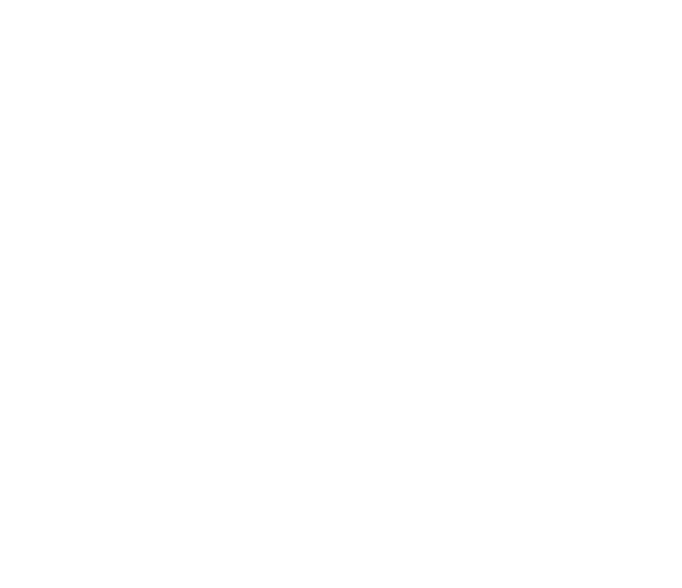 Auro logo